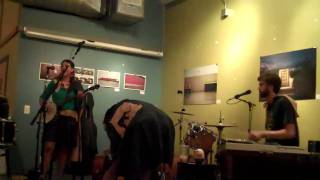 Breathe Owl Breathe - Parrots in the Tropical Trees