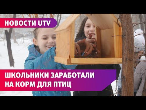 Ученики 72-ой школы сделали кормушки своими руками в рамках социального проекта