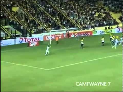Gols Criciúma 1 x 2 Ponte Preta   Sul Americana 2013