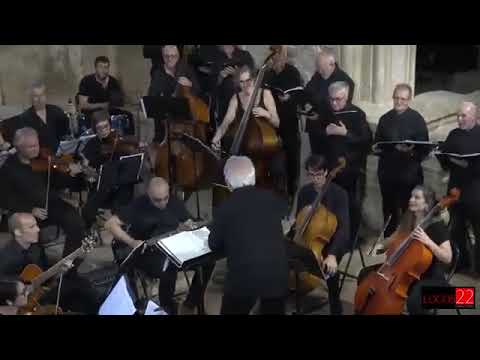 Video de la galería