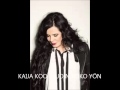 Kaija Koo Ajoin koko yön
