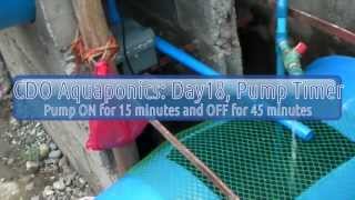 preview picture of video 'CDO Aquaponics: Day18, Pump Timer'