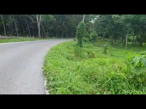 Beautiful Mountains Surround this 2 Rai Land Plot for Sale in Ao Nang, Krabi