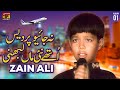 Na Jayo Pardes Uthe Nai Maa Labhni Zain Ali Official Music Video Tp Gold