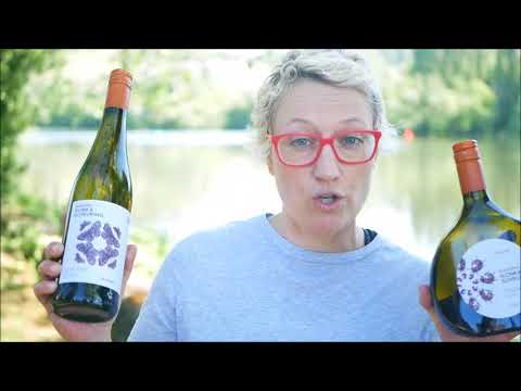 Vorstellung: Winzerin Ilonka Scheuring aus dem fränkischen Maroggo am Main