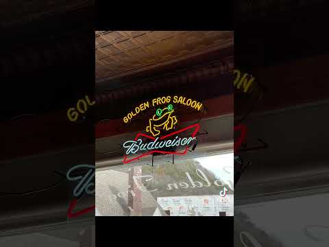 The Golden Frog Video Review