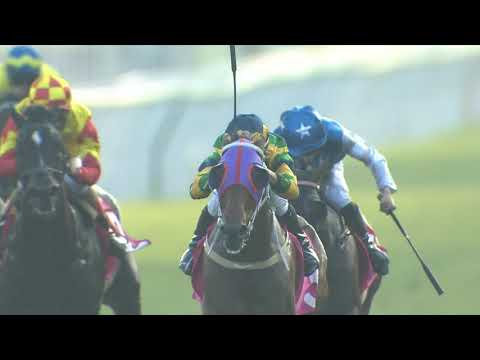 [Racing To Win] 20/21 #29 Sha Tin – R8 (13 December)
