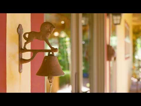 Real Estate Video on A7Siii - Luxury Villa in the Redwoods