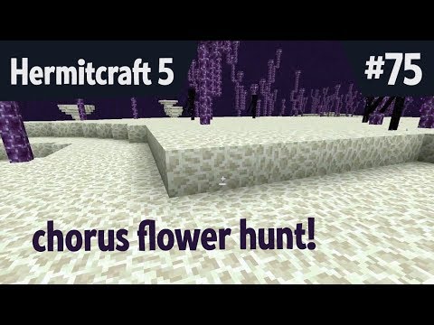 Chorus Flower Hunt! — Hermitcraft 5 ep 75