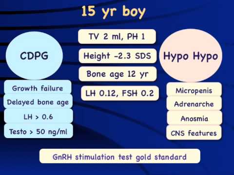 Delayed puberty in boys Dr Anurag Bajpai