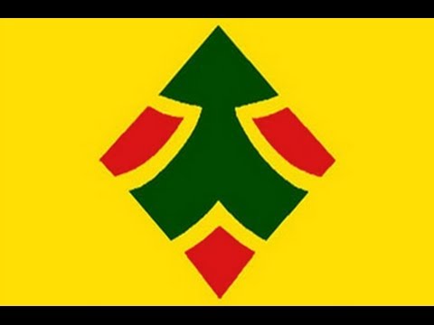 UDM Leader Bantu Holomisa - In Depth Interview #Elections2014