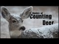 Basic Sampling Techniques - Counting Deer