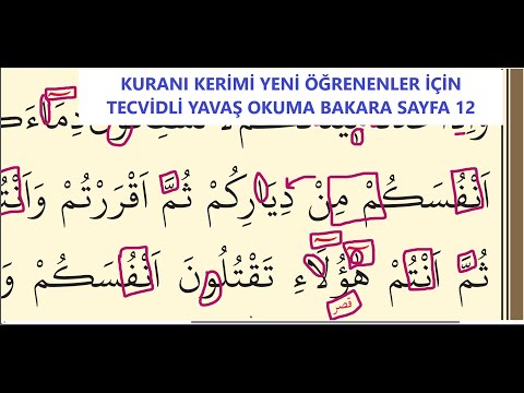KURANI KERİMİ YENİ ÖĞRENENLER İÇİN TECVİDLİ YAVAŞ OKUMA BAKARA SAYFA 12