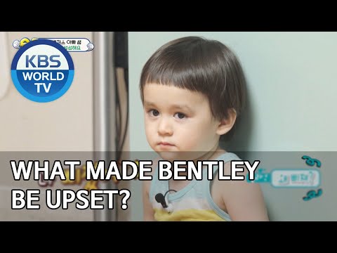 What made Bentley be upset? [The Return of Superman/2020.07.19]