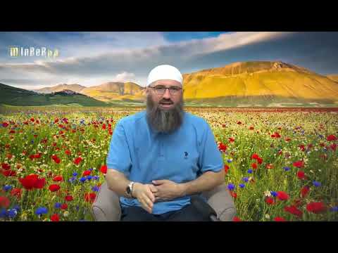 Najispravniji način klanjanja Vitr-namaza - Elvedin Pezić