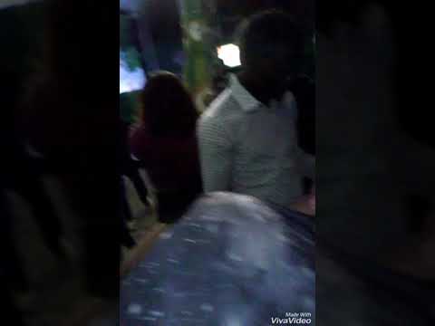 Químico ultra mega ×  Black point × ceky viciny × Liro shaq  × Pablo piddy × el príncipe  Baru.