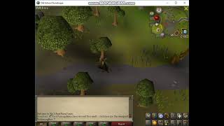 How to get redberries (from shop) in OSRS.