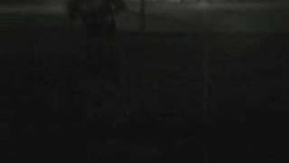 Ruff Rydin&#39; Scootas 3: Nocturnal.....