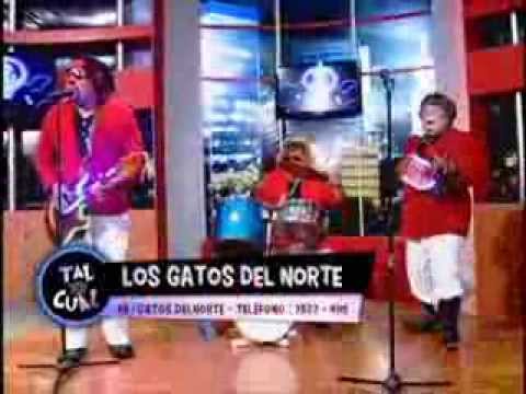 Los Gatos del Norte - Tal para Cual