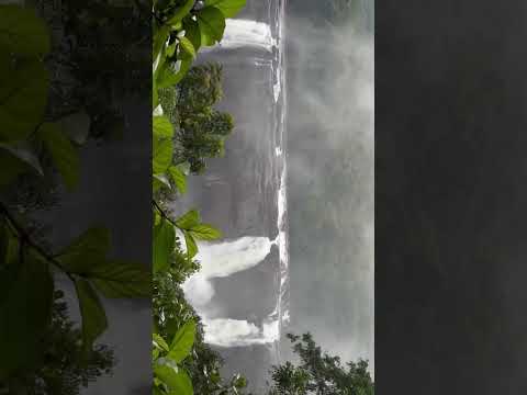 athirappilly Watet Falls😱🌊