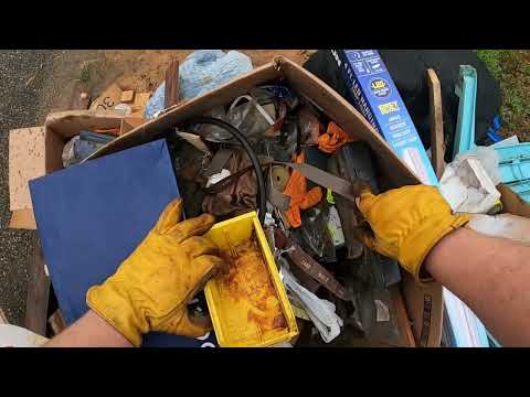 Let's Find Some Treasures Today!