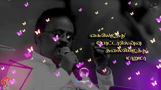 Kalyanam Kacheri Song Lyric  Kamal Hasan  SPB  Avv