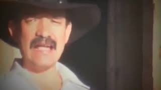 Amargo Dolor Lyrics English Translation