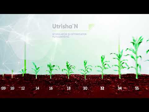 Utrisha N - Flexibilitate in aplicare