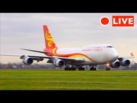 Plane Spotting 🔴#SCHIPHOL AIRPORT - HEAVY ARRIVALS