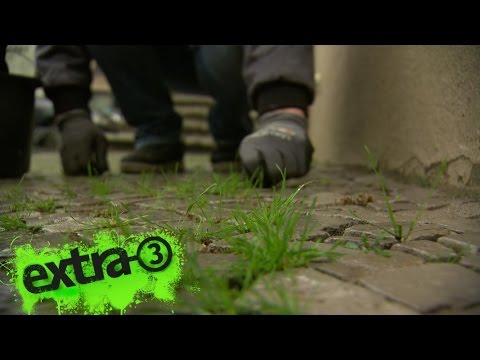 Realer Irrsinn: Unkraut-Posse in Potsdam | extra 3 | NDR