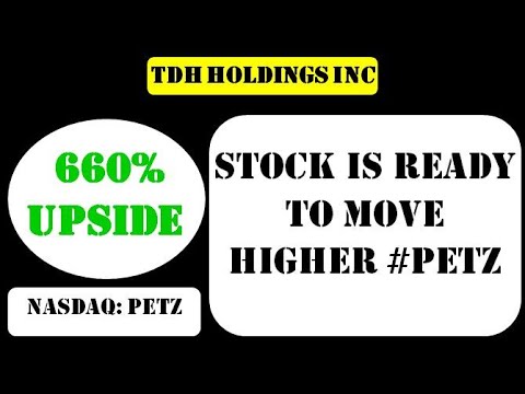 TDH Holdings Inc Stock is ready to move higher - petz stock