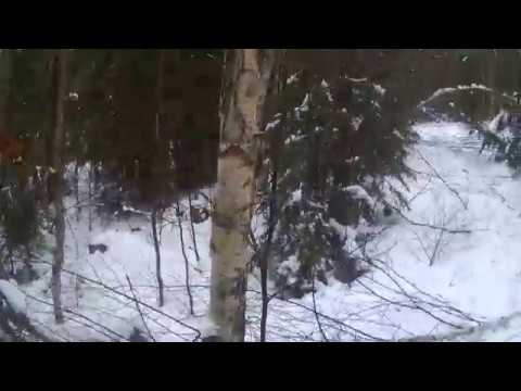 Uppföljning av resultat efter röjning