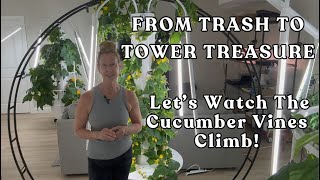 How One Free Trellis Took My #towergarden to the Next Level #gardening #farming #growyourownfood