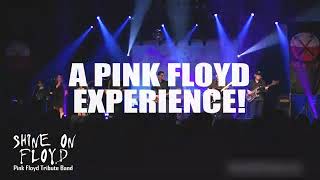 Pink Floyd Tribute: Shine on Floyd Concert Hightlights - TSE Entertainment