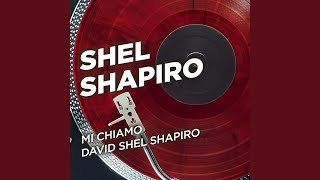 Musik-Video-Miniaturansicht zu Il verbo della vita Songtext von Shel Shapiro