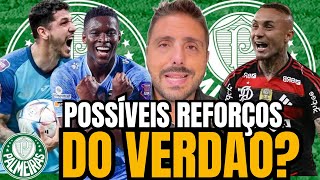 🚨NICOLA TRAZ NOTÍCIAS QUENTES DO PALMEIRAS🔥PACOTÃO DE INFOMAÇÕES NO VERDÃO I VEJA AGORA!