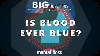 Is blood ever blue? - Big Questions (Ep. 17)