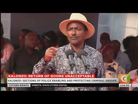 Kalonzo condemns goon attacks, faults police over political violence