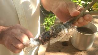 Lichia Roxa fruta saborosissíma