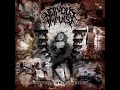 Nervous Impulse Enough For Dementia Full Album