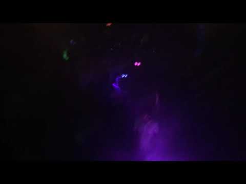 DJ Eve Carey Leopard Valley 2019