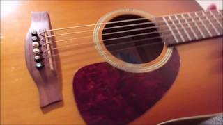 Video thumbnail for Seagull Entourage Rustic Acoustic guitar review/short demo by KidWilson33