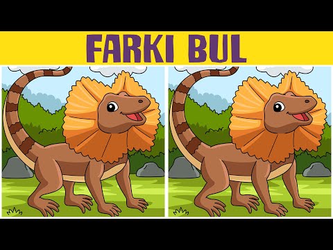 PHOTO PUZZLES : Decode the Differences Between Two Pictures in 30 Seconds | SUPER ATTENTION TEST