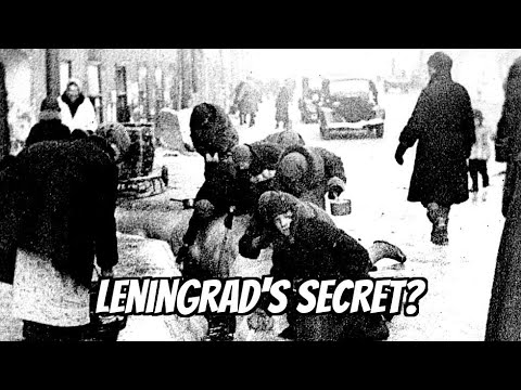 The Siege Of Leningrad: The City That Refused To Die (Wwii's Brutal Standoff)