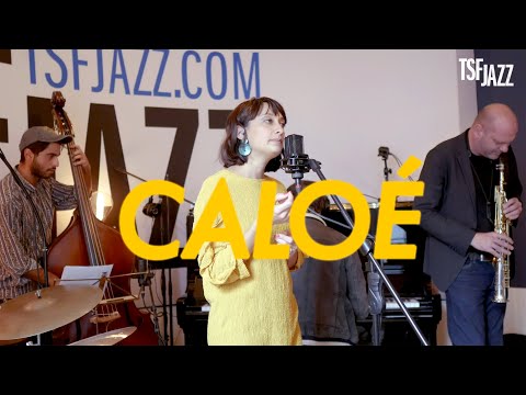 Caloé "Chiir" en session TSFJAZZ !