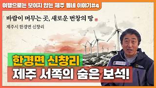 [제주도 입도를 꿈꾸는 당신을 위한 마을소개] 제주시 한경면 신창리, 제주 서쪽 노을과 풍차가 아름다운 숨은…