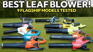 Best Leaf Blower? Milwaukee, DeWalt, Ryobi, Stihl, EGO