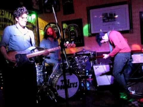 The Donkeys "I Like the Way that You Walk"