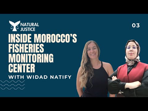 Inside Morocco’s Fisheries Monitoring Centre  | with Widad Natify