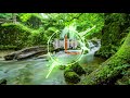 Lost Found Dan Lebowitz No Copyright Music